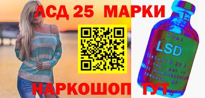 шишки Новодвинск