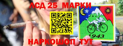 шишки Новодвинск