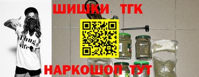 шишки Новодвинск