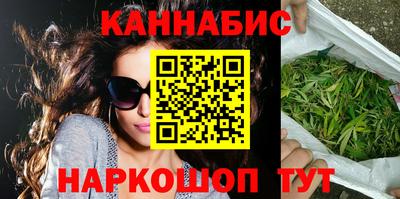шишки Новодвинск
