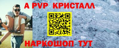 шишки Новодвинск