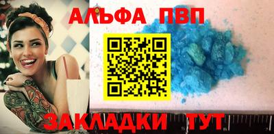 шишки Новодвинск