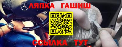 шишки Новодвинск