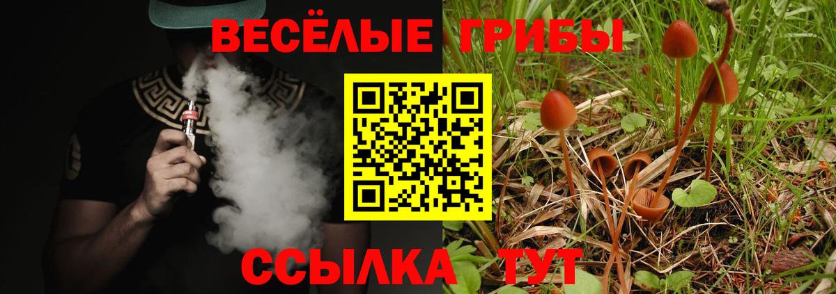 Псилоцибиновые грибы Cubensis  Вход с VPN  Алексеевка 